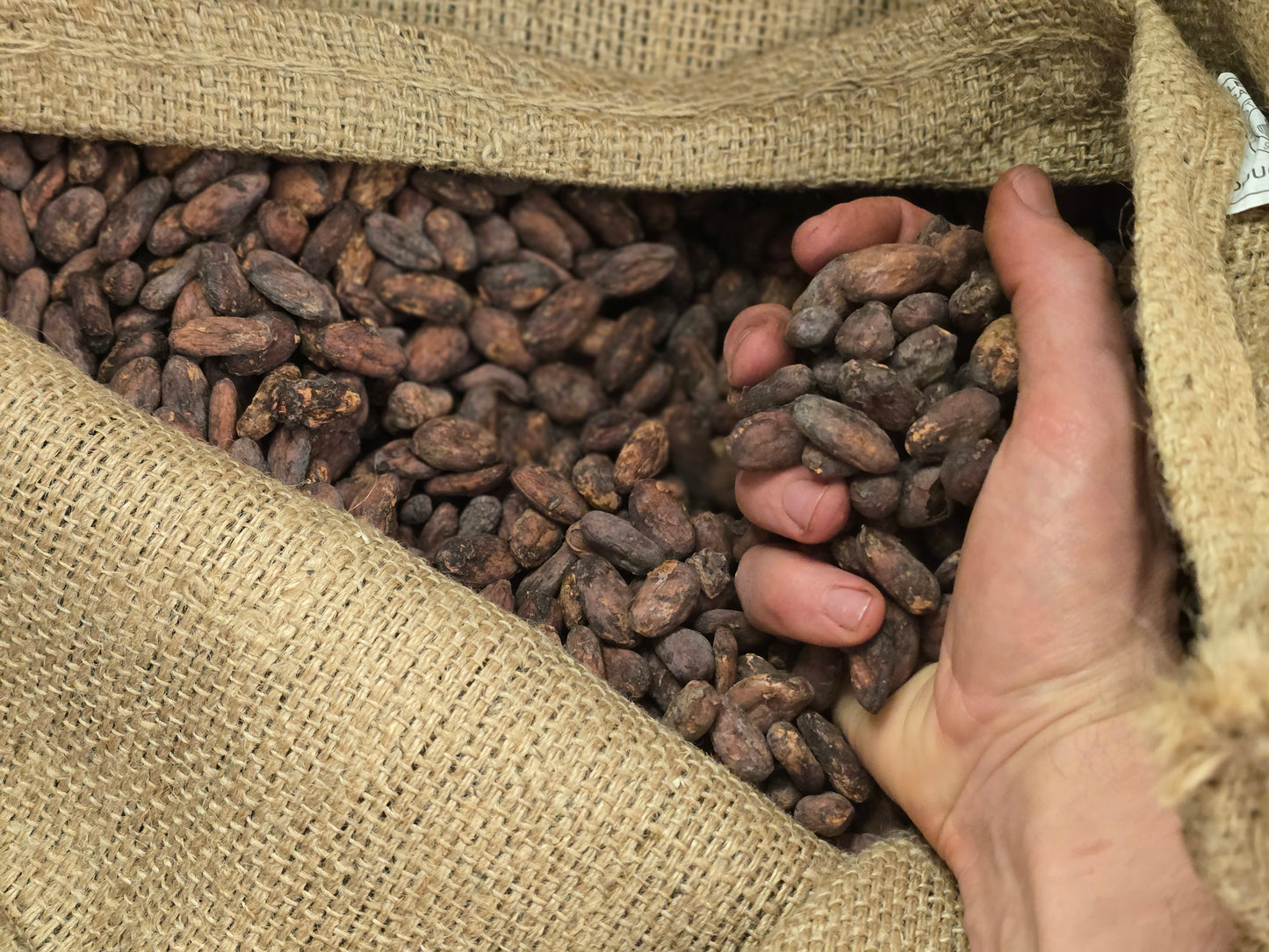 Cristaux - sachet 100g